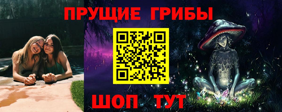 Псилоцибиновые грибы MAGIC MUSHROOMS  Вход с VPN  Казань 